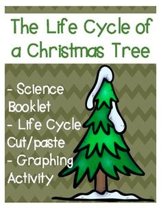 the life cycle of a christmas tree science booklet cut / pastee graphing activity