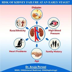 Kidney Specialist in Noida-Best kidney doctor in Noida. View appointment fee, patient feedback, OPD schedule, contact number of kidney specialist near you in Noida. Kidney Specialist, Heart Problems, Internal Medicine, Blood Pressure, Family History