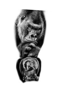 a gorilla and an elephant are shown in this black and white photo, with the image being viewed from above