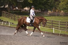 a woman riding on the back of a brown horse