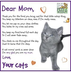 a poem written to a cat that says dear mom