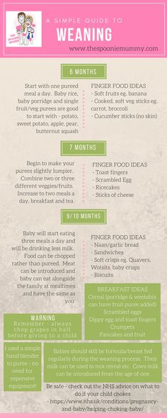 Baby Lean Weaning Foods, Baby Led Weaning Schedule, Baby Leading Weaning, Weaning Ideas