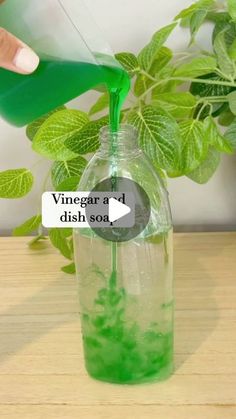 a person pouring green liquid into a glass bottle with leaves in it and the words vinegar ad dish sod