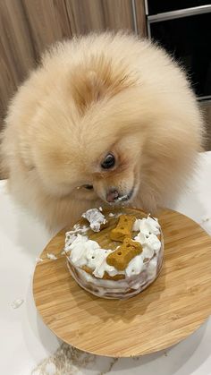 a small dog standing next to a cake on top of a wooden plate with icing