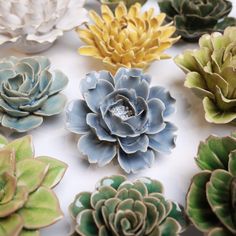 there are many different types of succulents on the table with each other