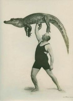 a man is holding an alligator on his back while standing in front of a white background