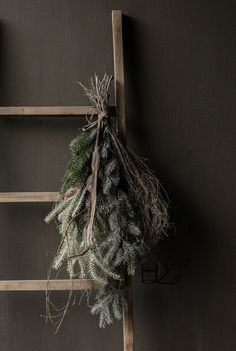 a ladder with some plants hanging from it's side and another plant on the other side