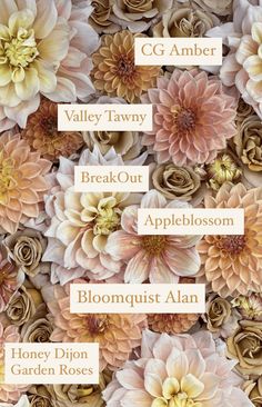 a bunch of flowers that are in the middle of a flower arrangement with names on them