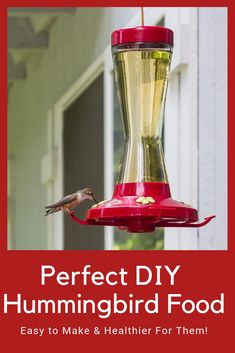 a hummingbird feeder hanging from the side of a house with text overlay reading perfect diy hummingbird food easy to make and healthier for them