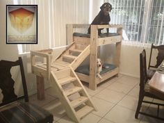 a dog sitting on top of a wooden bunk bed in a living room next to a window