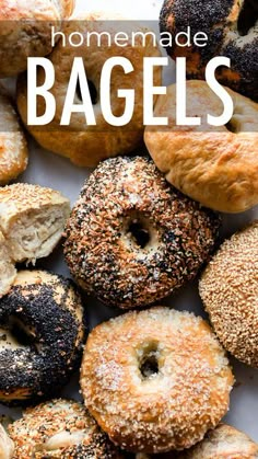 homemade bagels with sesame seeds and poppy seed sprinkles on the side