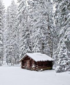 a log cabin in the middle of a snowy forest with lots of snow on it