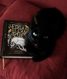 a black cat laying on top of a red couch next to a book that reads edgar atlas