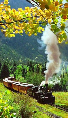 a train traveling through a lush green forest next to a tall mountain covered in trees