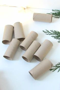 several rolls of toilet paper sitting on top of a white table next to green plants