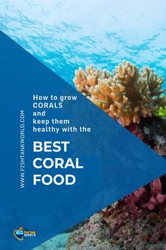 the cover of how to grow corals keep them healthy with the best coral food