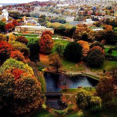 an aerial view of a park with trees and buildings in the background