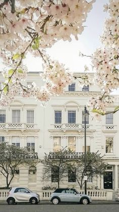 two cars are parked in front of a large white building with cherry blossoms on it