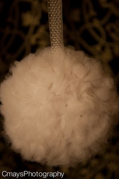 an ornament hanging from a tree with white feathers on it's side