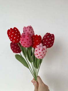 a hand holding a bunch of red and pink flowers