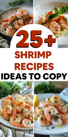 25 shrimp recipes that are easy to make and delicious