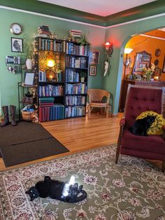 a cat laying on the floor in front of a bookshelf