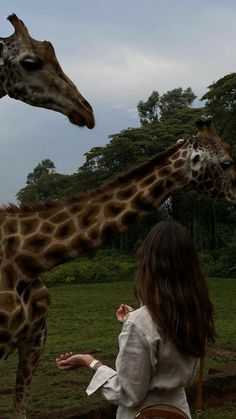 two giraffe standing next to each other on a lush green field