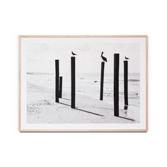 a black and white photo with birds sitting on posts in the sand at the beach