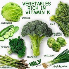 broccoli, cabbage, cucumbers, celery and other vegetables are shown in this chart