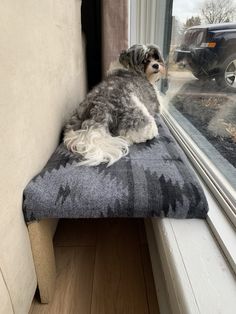 a dog is sitting on a bench looking out the window with his head hanging down