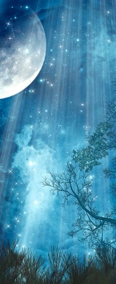 an image of the sky with stars and moon in it, as well as some trees