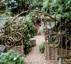 an outdoor garden with lots of plants and trees