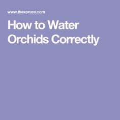 the words how to water orchids to inspire beautiful blooms in white on a purple background