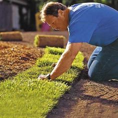 a man kneeling down to pick up some grass