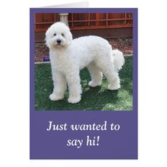 a white dog standing on top of a grass covered field next to a purple greeting card