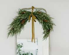 a mirror hanging from the side of a wall with pine cones and evergreen branches on it