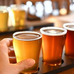 a person is holding three different types of beer in their hand while sitting at a table