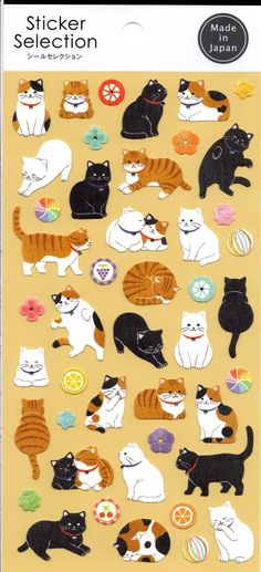 a sticker with many different cats and kittens on it's back side