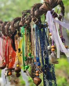 a bunch of necklaces hanging from a tree