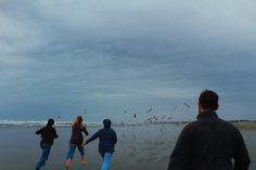 three people running on the beach with seagulls in the background