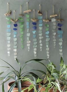 some plants are sitting in front of a wall with glass pebbles hanging from it's sides