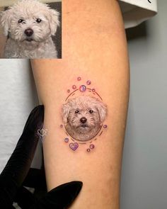 a small dog is shown on the right side of the leg, and an image of a white dog has been added to it