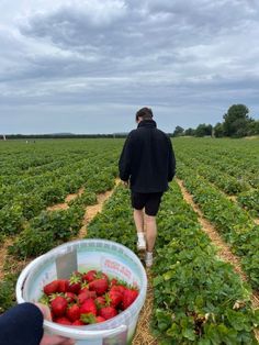 a man walking through a field holding a bucket of strawberries