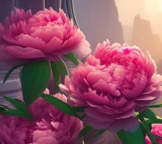 three pink flowers in front of a white vase