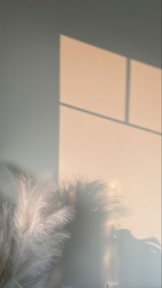 a vase with some white feathers in it next to a window and light coming through the blinds