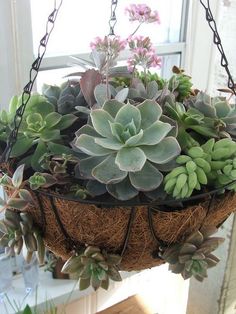 a hanging planter filled with succulents in front of a window sill