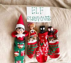 three elfs are laying on the bed with their christmas stockings and one has a sign that says elf sleepover