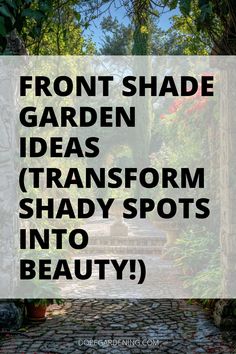 Discover a world of beauty with front shade garden ideas! Explore landscaping tips and garden design to create a lush oasis with low-light plants and shade-tolerant shrubs. Learn about perennial plants, hosta varieties, and shade-loving flowers to enhance your outdoor space. Embrace foliage texture and ground cover for a vibrant front yard transformation. Click for more details on how to incorporate container gardening into your front shade garden for a stunning and inviting landscape! Front Yard Shade Landscaping Ideas, Landscaping Ideas For Shaded Front Yard, Landscaping Shaded Front Yard, Low Light Landscaping Ideas, Landscape Ideas For Shade, Shade Yard Landscaping, Shady Front Garden, Low Maintenance Shade Garden, Landscaping For Shaded Areas