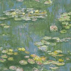 an image of water lilies in the pond