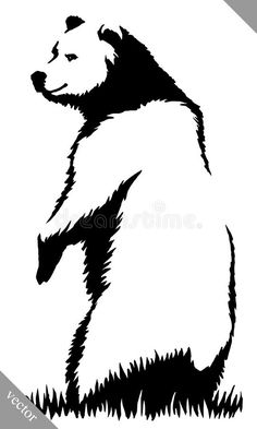 a black and white bear sitting on its hind legs with grass in the foreground